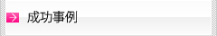 成功事例